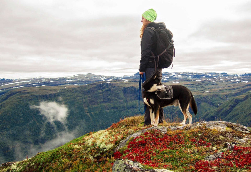 Scotland Walkers Guide - Top 8 Best Scottish Walks in 2022