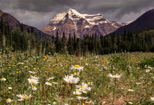 Load image into Gallery viewer, Mount Robson Mountain Photography | British Columbia Canadian Rockies Wall Art - Home Decor Gifts
