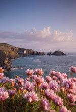 Load image into Gallery viewer, Cornish Wildflower Print | Mother Ivy&#39;s Bay Wall Art, Cornish RNLI Lifeboat Station - Home Decor Gifts - Sebastien Coell Photography
