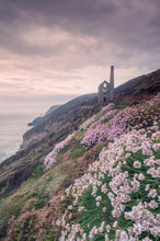 Load image into Gallery viewer, Wheal Coates Photography | Towanroath Tin Mine Prints and Sea Thrift Wall Art - Home Decor
