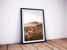 Load image into Gallery viewer, Cornish prints | Godrevy Lighthouse Photography, Sea Pinks wall art, Seascape Photography - Sebastien Coell Photography
