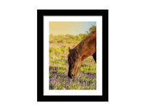 Load image into Gallery viewer, Horse Wall Art | Dartmoor Pony Prints and Emsworthy Bluebell Photography - Sebastien Coell Photography
