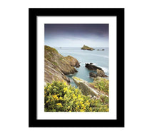 Load image into Gallery viewer, Print / Canvas Froward Point wall art, Kingswear Devon Photography present xmas christmas gifts photo rock coastal island fineart home decor
