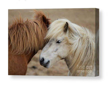 Load image into Gallery viewer, Equine art of an Icelandic Horse | Wildlife Prints for Sale - Home Decor Gifts - Sebastien Coell Photography
