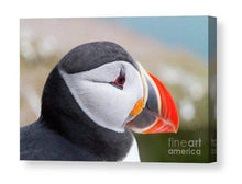 Load image into Gallery viewer, Iceland Puffin Print | Wildlife Photography, Icelandic animal art - Home Decor Prints - Sebastien Coell Photography
