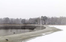 Load image into Gallery viewer, Fine art Print of Stover Country Park, Frozen Lake Photography, Devon Landscape Photography for Sale and Winter wall art Home Decor Gifts - SCoellPhotography
