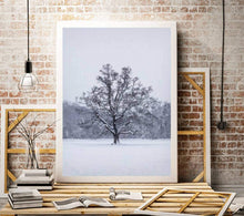 Load image into Gallery viewer, Woodland Print of a Snowy Tree at Bakers Park, Newton Abbot Photography, Bakers Park Pictures for Sale and Home Decor Gift - SCoellPhotography
