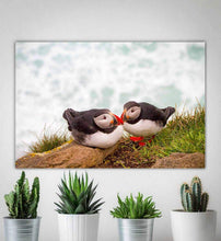 Load image into Gallery viewer, Icelandic Puffin Print | Latrabjarg cliff wall art, Wildlife Prints - Home Decor Gifts - Sebastien Coell Photography
