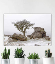 Load image into Gallery viewer, Dartmoor Prints | Hawthorn Tree art, Holwell Lawn Dartmoor Winter Photography - Sebastien Coell Photography
