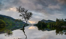 Load image into Gallery viewer, North Wales photography of The Lone Tree | Llanberis wall art - Home Decor Gifts - Sebastien Coell Photography
