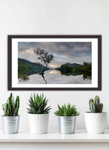 Load image into Gallery viewer, North Wales photography of The Lone Tree | Llanberis wall art - Home Decor Gifts - Sebastien Coell Photography
