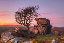 Load image into Gallery viewer, Dartmoor Prints | Hawthorn Tree Wall Art at Haytor Rocks - Home Decor Gifts - Sebastien Coell Photography
