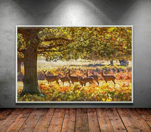 Load image into Gallery viewer, Deer Print | Richmond Park Photography, Wildlife Wall Art, Red Deer Photography - Sebastien Coell Photography
