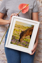 Load image into Gallery viewer, Horse Wall Art | Dartmoor Pony Prints and Emsworthy Bluebell Photography - Sebastien Coell Photography
