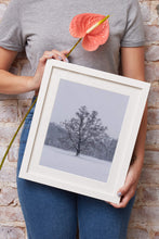 Load image into Gallery viewer, Woodland Print of a Snowy Tree at Bakers Park, Newton Abbot Photography, Bakers Park Pictures for Sale and Home Decor Gift - SCoellPhotography
