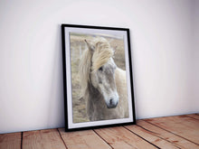 Load image into Gallery viewer, Icelandic Horse Art | Equine art for Sale and Wildlife Print Home Decor Gifts - Sebastien Coell Photography
