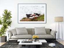 Load image into Gallery viewer, Icelandic Puffin Print | Latrabjarg cliff wall art, Wildlife Prints - Home Decor Gifts - Sebastien Coell Photography
