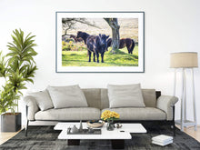 Load image into Gallery viewer, Wildlife Prints of Dartmoor Ponies and Cows, Animal Photography and Devon wall art for Sale, Horse and Equine Home Decor Gifts - SCoellPhotography
